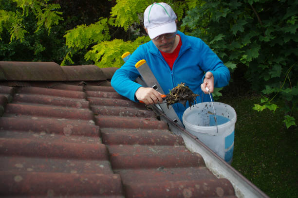 istock Man on ladder cleans gutter on the roof 1249014514