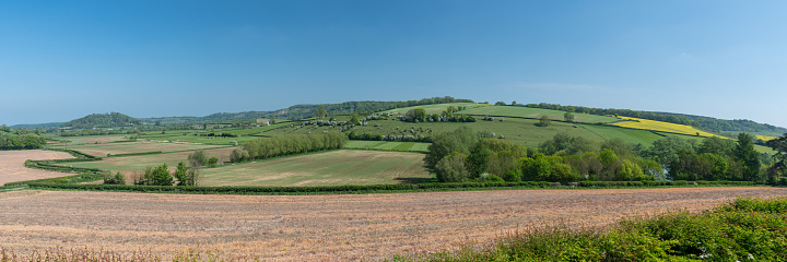 Panoramic photo of the hills and farmland across Somerton moor in Somerset
