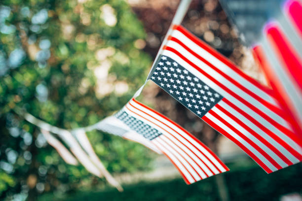 us flag pennant