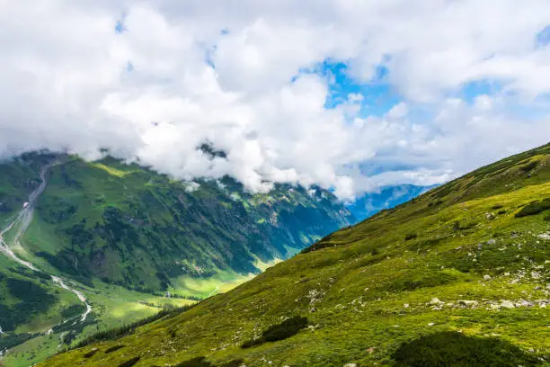 Photo of Green Austrian Alps covered with grass and forests under white clouds