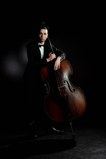 istock professional musician playing on double bass on dark stage 1249020972