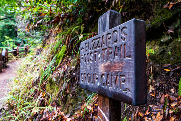Buzzard's Roost Trail In California's Big Sur