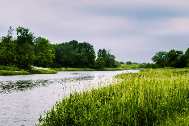 istock Beautiful summer landscape river and green trees 1249021867