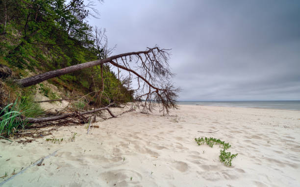 istock Natural landscape from the sea on a cloudy windy day. 1249023542