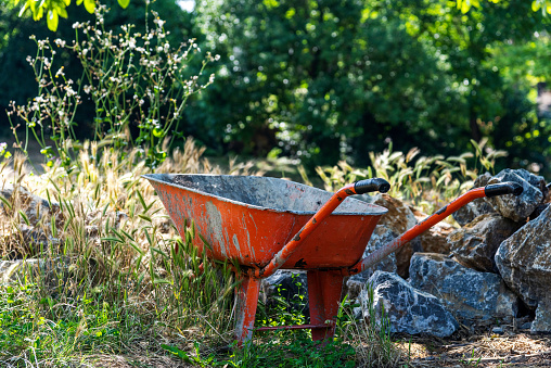 Orange colored old wheelbarrow in the garden.