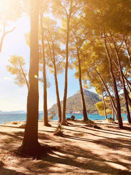 Beautiful Beach view, Mallorca Spain, Platja de Formentor