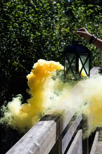Person Holding Lantern and Yellow Smokebomb in Arboretum