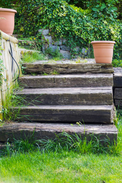 istock Wood Steps in garden 1249032083