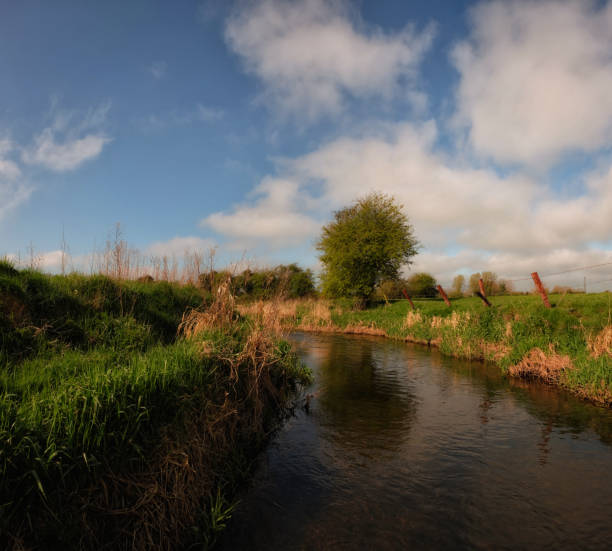 istock Trout fishing river 1249032269