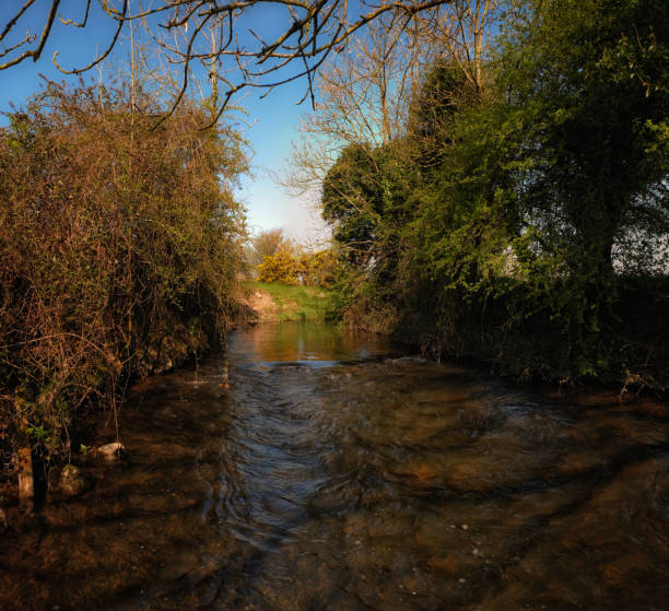 istock Trout fishing river 1249032287