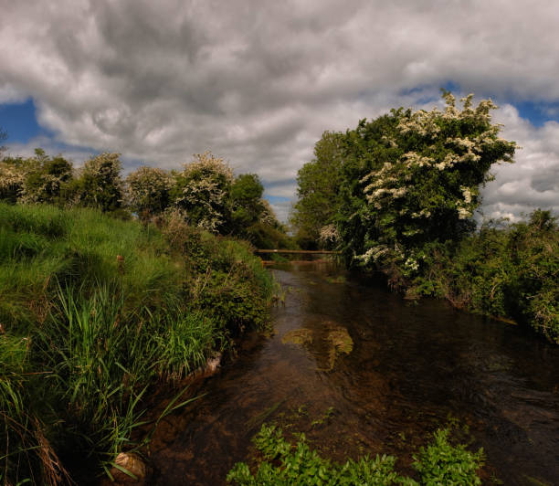 istock Trout fishing river 1249032813