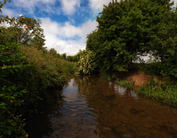 istock Trout fishing river 1249032829