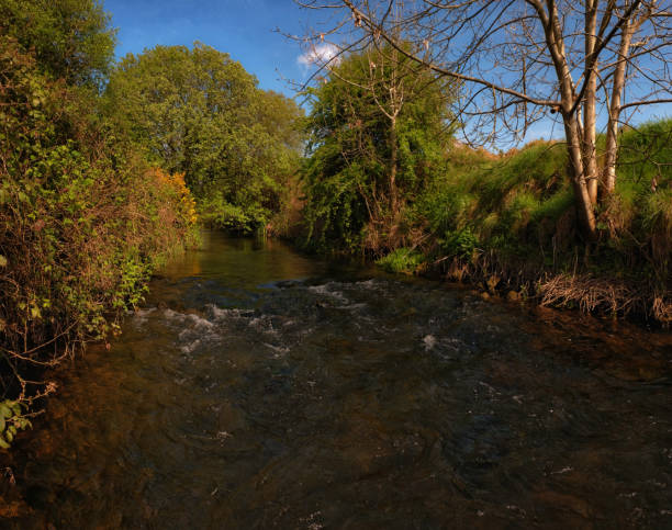 istock Trout fishing river 1249032836