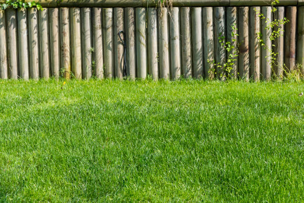istock Wood fence in garden 1249037035