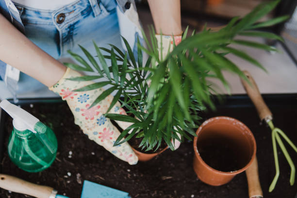 istock Free time for little house gardening 1249037065