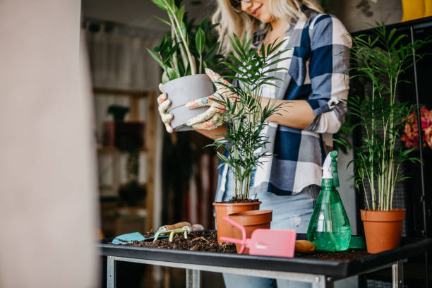 istock Free time for little house gardening 1249037134