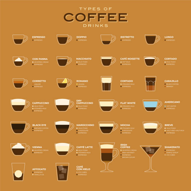 illustrations, cliparts, dessins animés et icônes de types d’illustration de vecteur de café. infographie des types de café et de leur préparation. menu café. style plat. - taper à la machine