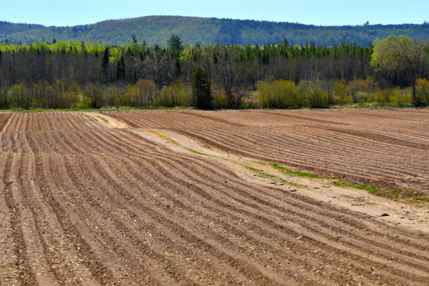 istock Newly Furrowed Farm Land in Spring 1249037895