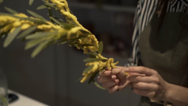Close up of female holding a branch of mimosa in a flower shop