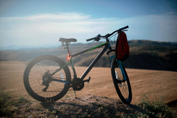 istock mountain bike standing in nature 1249038912