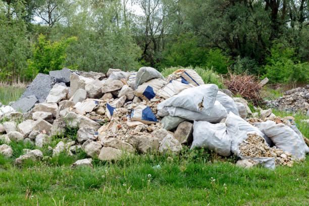 istock Dump of construction and household garbage in the forest. 1249040150