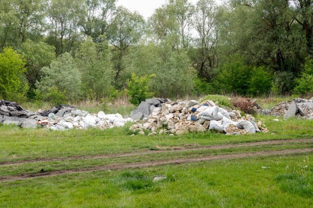 istock Dump of construction and household garbage in the forest. 1249040223