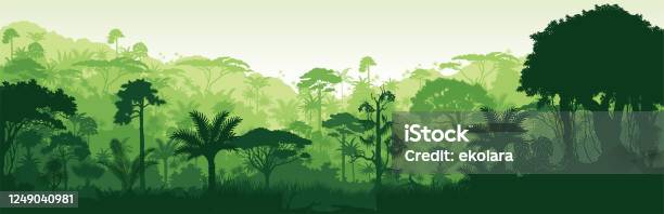 Vector Horizontal Tropical Rainforest Jungle Background Stock Illustration - Download Image Now