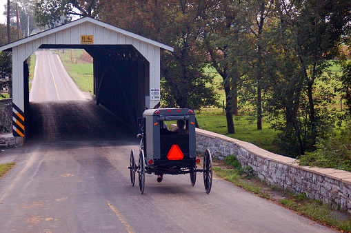 Interesting photo of an Amish horse and buggy travelling along a country road in Lancaster Pennsylvania which is Pennsylvania Dutch country.  Beautiful green fields and rolling hills can be seen as well as well kept barns and farm houses.  The lovely scenery accentuates the stark black colour of the buggy.
