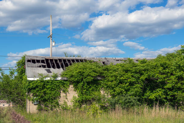 An abandoned building with huge hole in the roof and overgrown greenery.