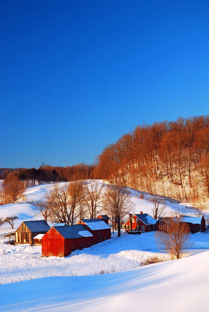 małe gospodarstwo siedzi spokojnie pod kocem śniegu - jenne farm zdjęcia i obrazy z banku zdjęć