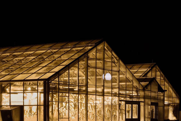 istock Greenhouse with Yellow Light 1249048538
