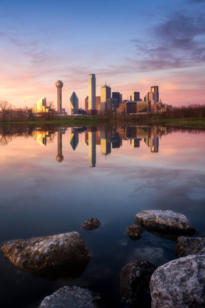 Dallas downtown view at sunset with reflection Dallas City Skyline at sunset. Beautiful sunset after a heavy rain in North Texas. Reflection of downtown from Trinity River. reunion tower photos stock pictures, royalty-free photos & images