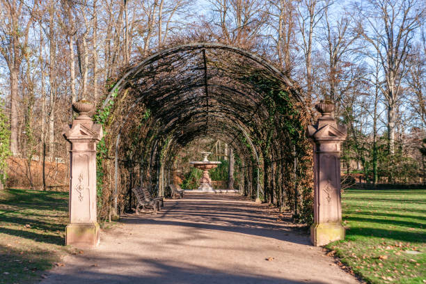 istock Parc de Orangerie Strasbourg sunny at winter 1249051003