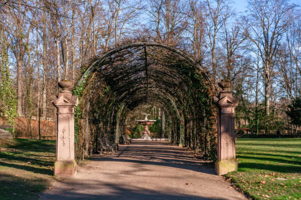 istock Parc de Orangerie Strasbourg sunny at winter 1249051010