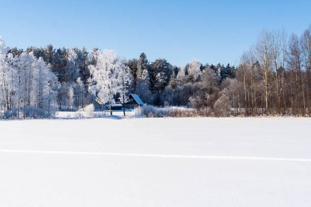 istock Snowy field with traces, trees at winter 1249051734