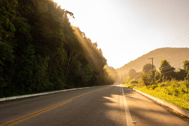 istock Sunrise on the road 1249060762