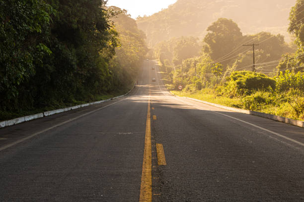 istock Sunrise on the road 1249060767