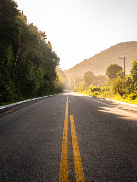 istock Sunrise on the road 1249060786
