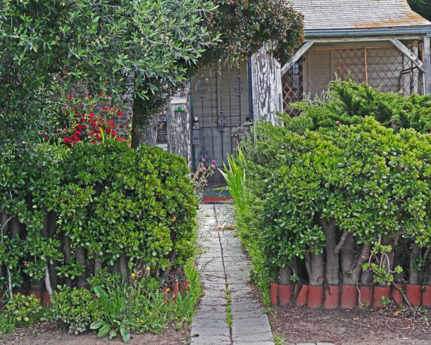 istock Neighborhood Shack 1249074247