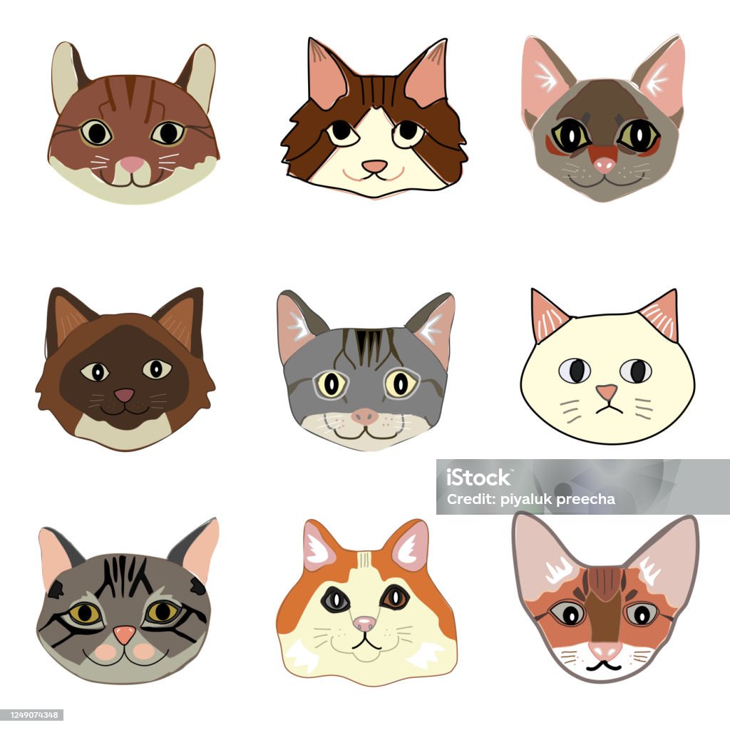 Bộ 9 Con Mèo 9 Con Mèo Dễ Thương Hoạt Hình Vẽ Tay Vector Hình minh họa Sẵn  có - Tải xuống Hình ảnh Ngay bây giờ - iStock