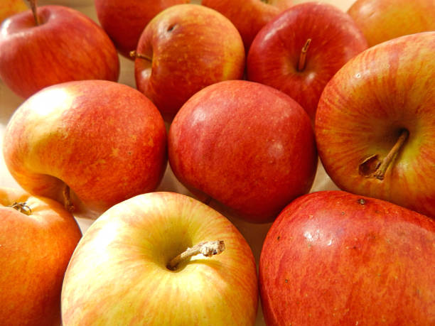 istock Close-up view of apples 1249080437