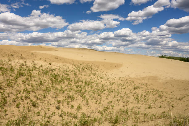 istock Great Sandhills near Leader, Saskatchewan, Canada 1249084114