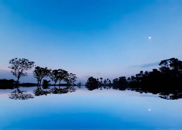 Photo of The sun has set in the evening and the moon has risen in the eastern sky. Shadows of blue sky and green trees.