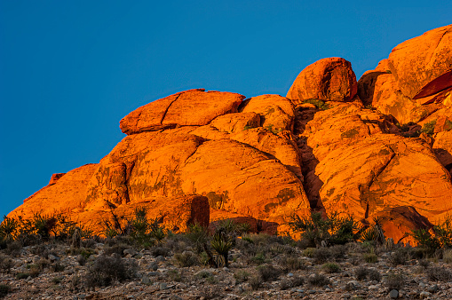 Hiking trails are found throughout Red Rock Canyon in Las Vegas that provide adventurers access to the remote wilderness of the conservation area.