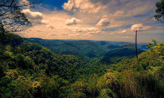 The highest point lookout on Mt. Springbrook National Park on the Gold Coast hinterland