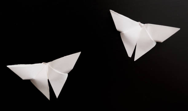 istock Origami butterflies 1249099753