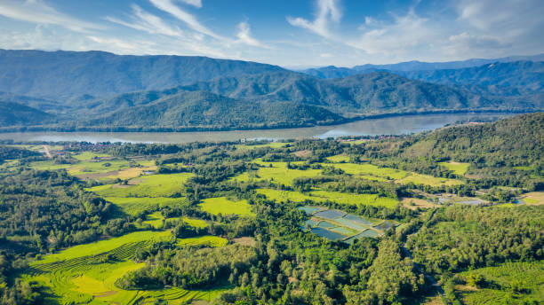 istock Mekong River Rice Paddy Panorama Landscape Laos 1249102069