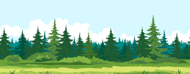 Path along spruce forest game background Path along spruce forest with big green trees game background tillable horizontally, tourist route near the dense spruce forest and bushes in summer sunny day nature illustration background tillable stock illustrations