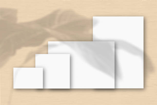 istock Several horizontal and vertical sheets of white textured paper against a yellow wall background. Mockup with an overlay of plant shadows. Natural light casts shadows from a tropical plant 1249104632