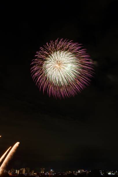 istock Fireworks in the Tama River (Japan). 1249105930